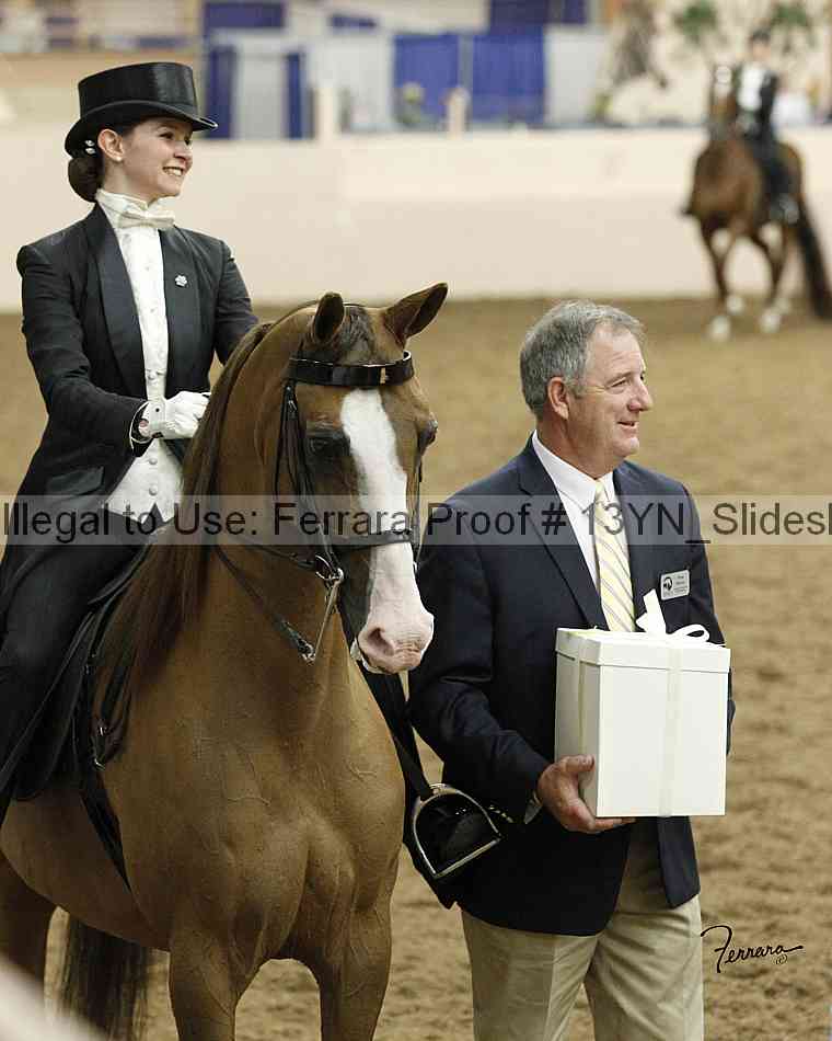 Proof 13yn_slideshow_05337