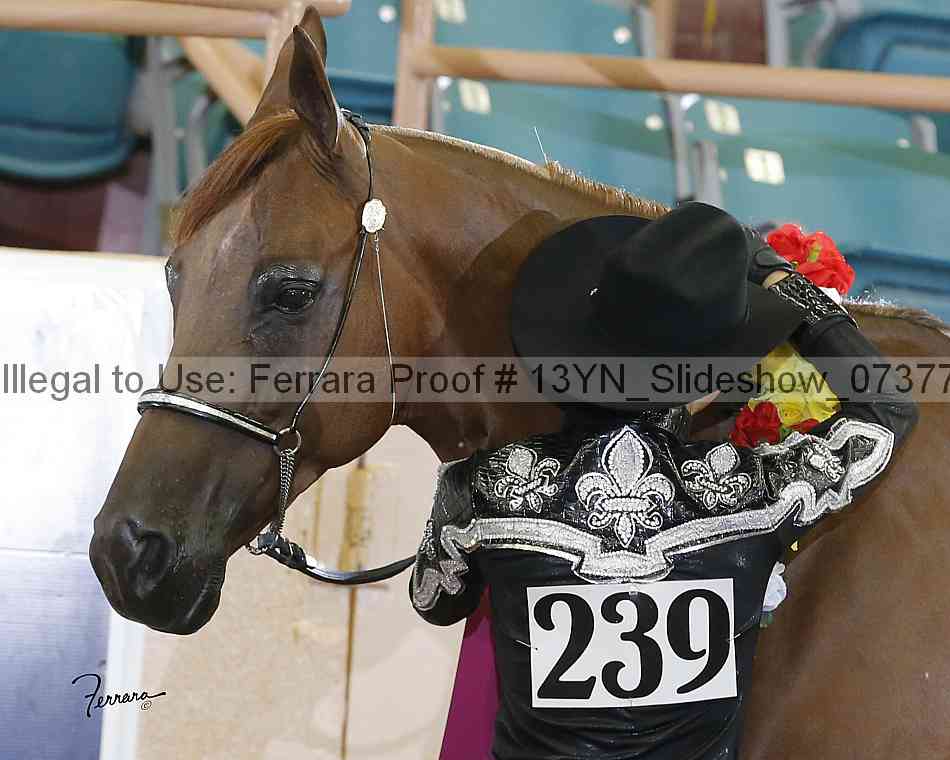 Proof 13yn_slideshow_07377