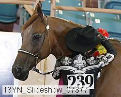 13yn_slideshow_07377 proof