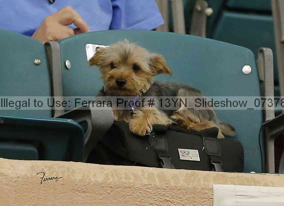 Proof 13yn_slideshow_07378