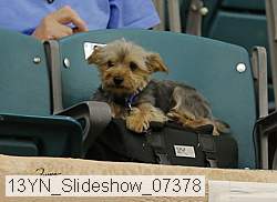 13yn_slideshow_07378 proof