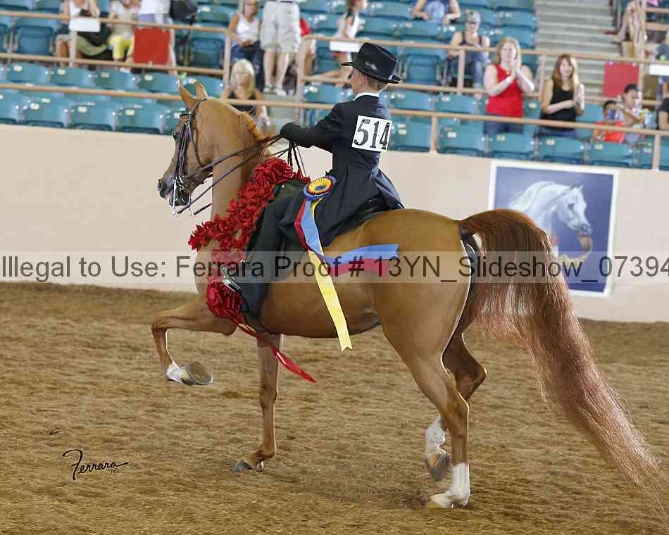 Proof 13yn_slideshow_07394