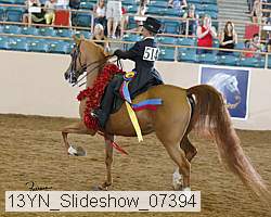 13yn_slideshow_07394 proof