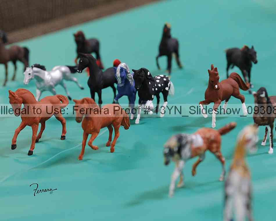 Proof 13yn_slideshow_09308