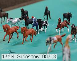 13yn_slideshow_09308 proof