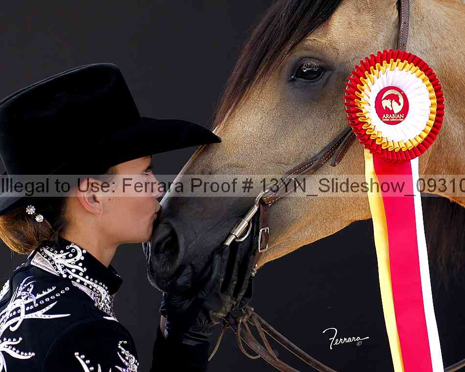 Proof 13yn_slideshow_09310