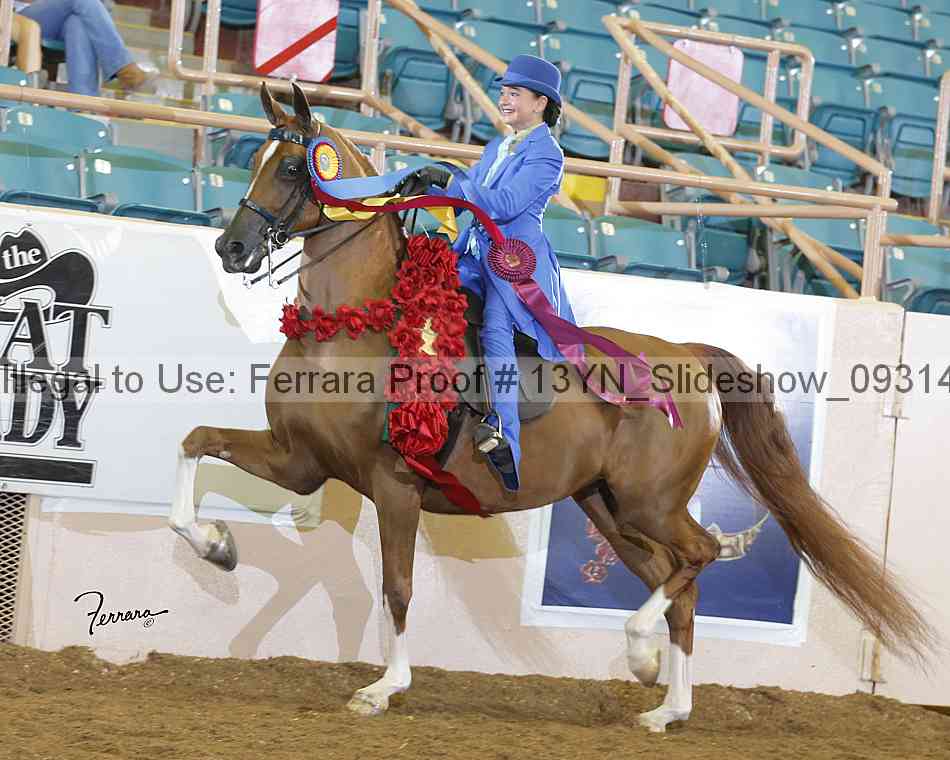 Proof 13yn_slideshow_09314