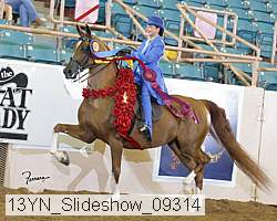 13yn_slideshow_09314 proof