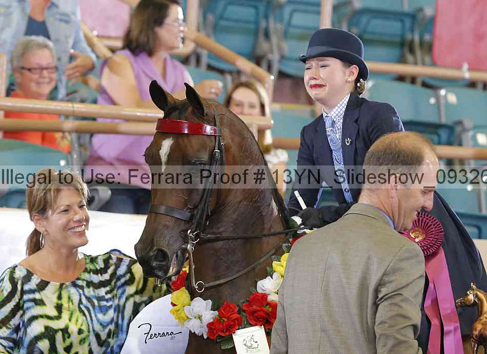 Proof 13yn_slideshow_09326
