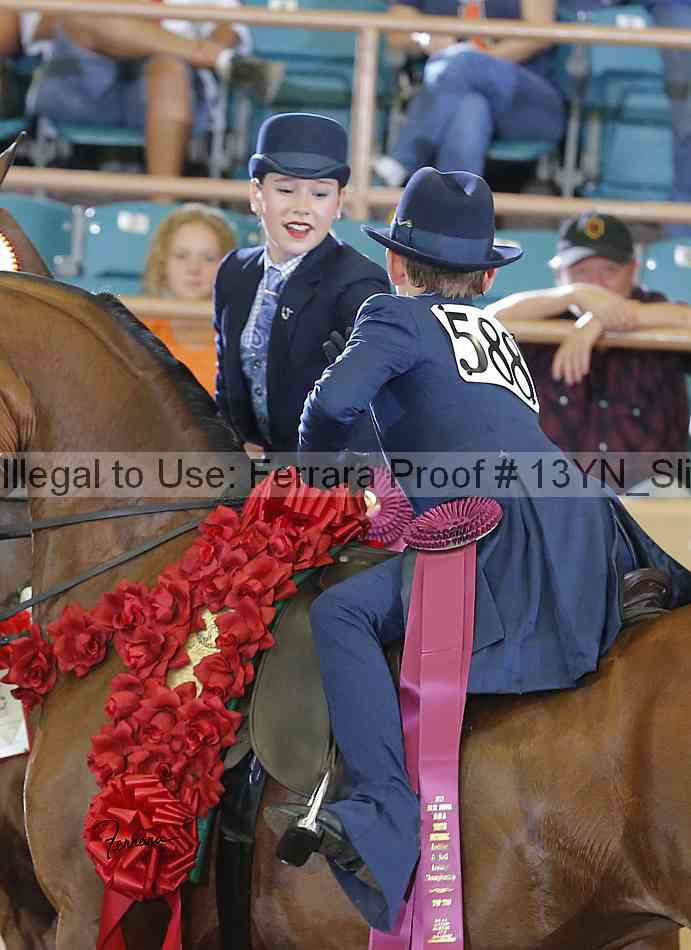Proof 13yn_slideshow_09327