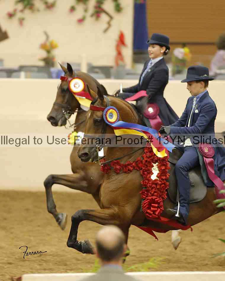 Proof 13yn_slideshow_09328