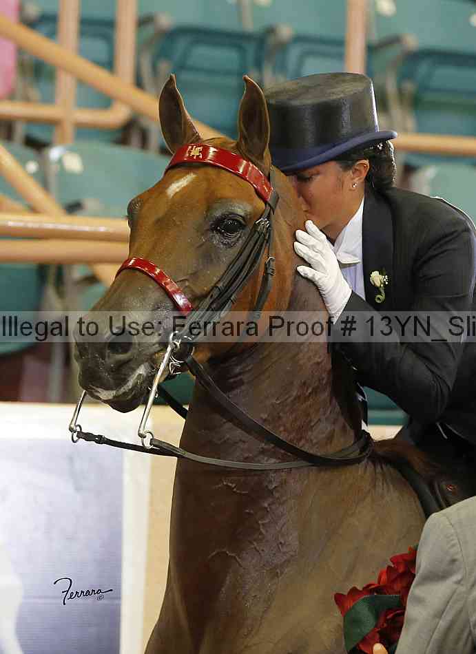Proof 13yn_slideshow_09331