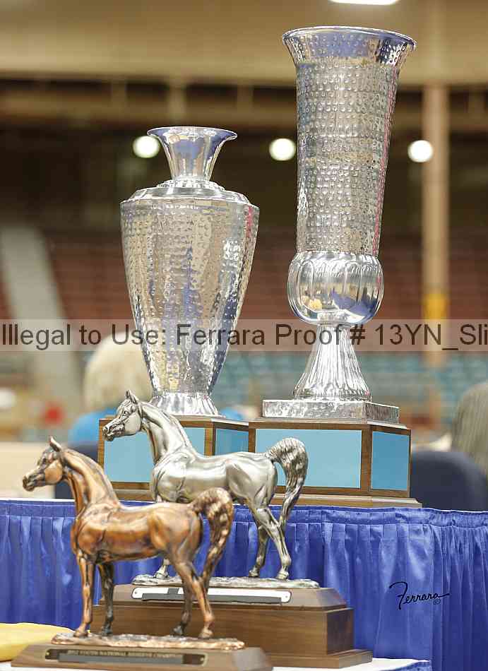 Proof 13yn_slideshow_09334