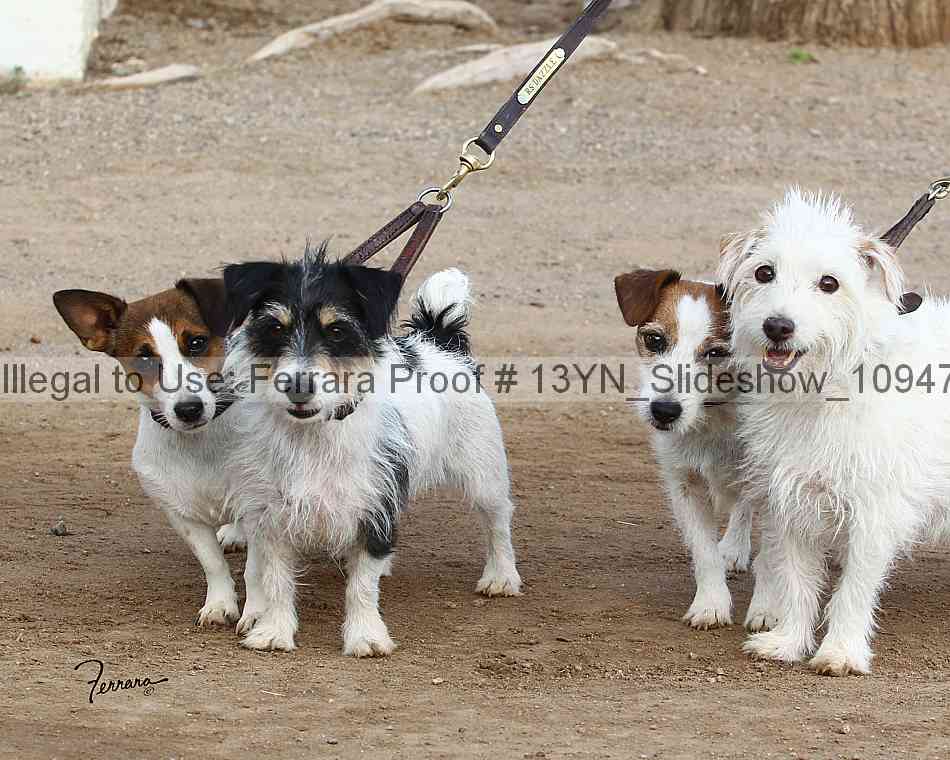 Proof 13yn_slideshow_10947