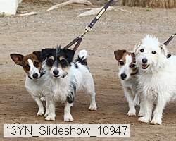 13yn_slideshow_10947 proof