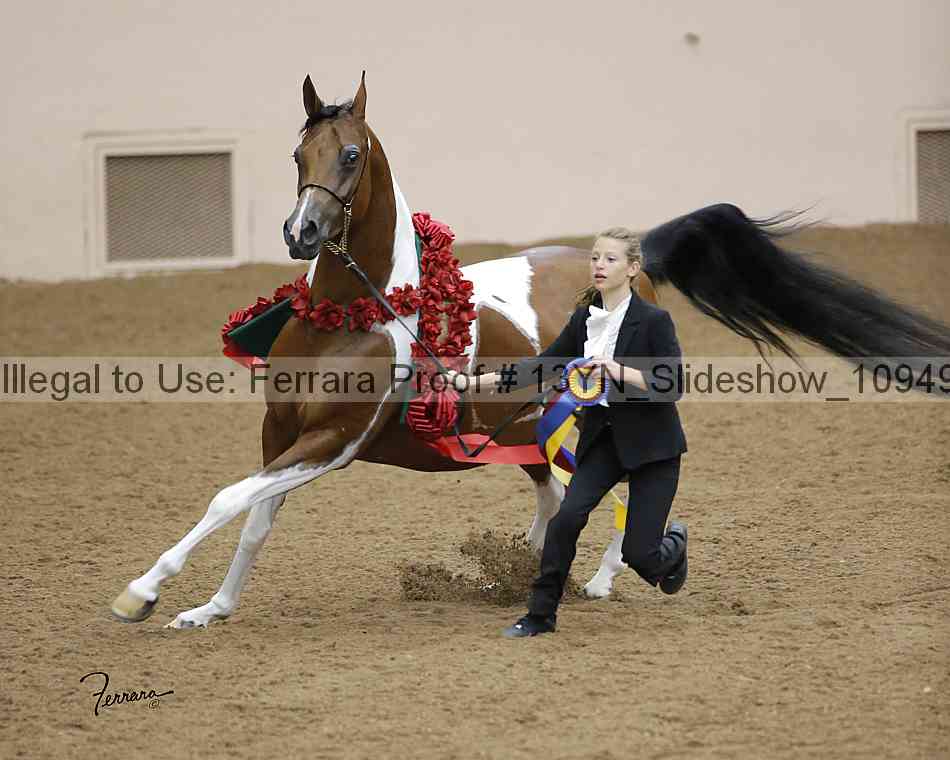 Proof 13yn_slideshow_10949