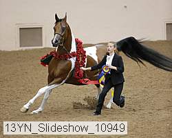 13yn_slideshow_10949 proof