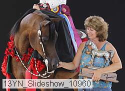 13yn_slideshow_10960 proof