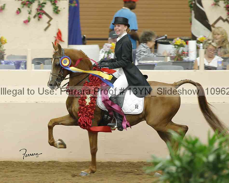 Proof 13yn_slideshow_10962