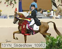 13yn_slideshow_10962 proof