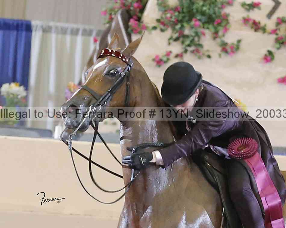 Proof 13yn_slideshow_20033