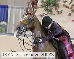 13yn_slideshow_20033 proof
