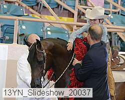 13yn_slideshow_20037 proof