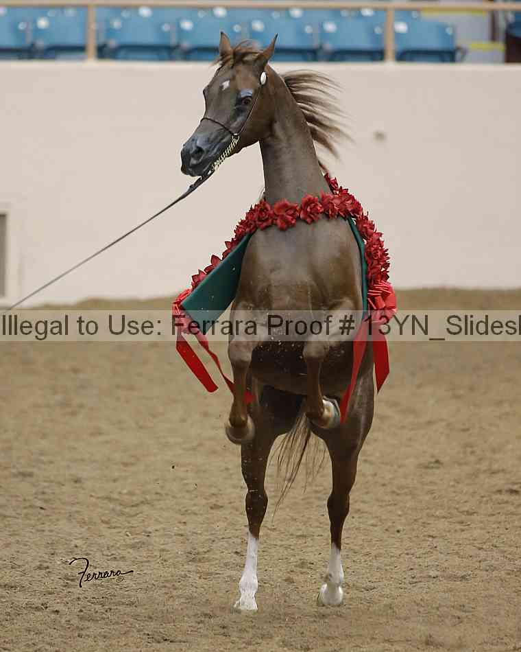 Proof 13yn_slideshow_20042