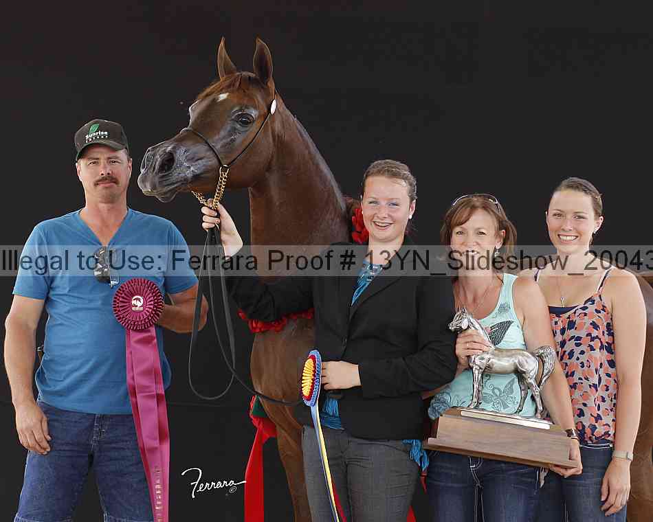 Proof 13yn_slideshow_20043