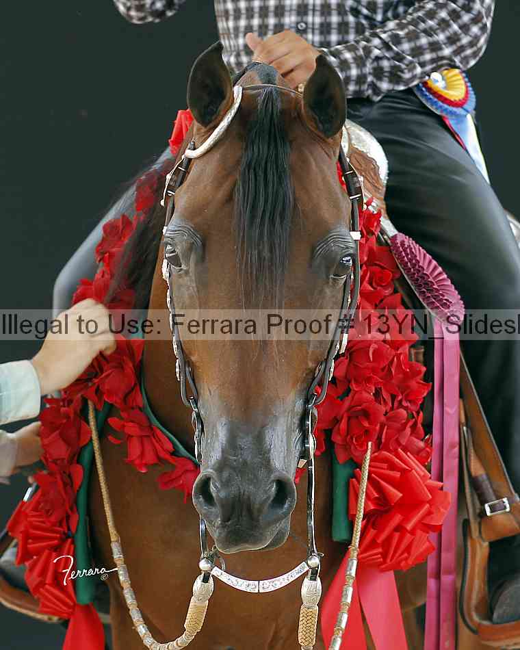 Proof 13yn_slideshow_20047