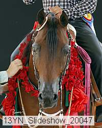 13yn_slideshow_20047 proof