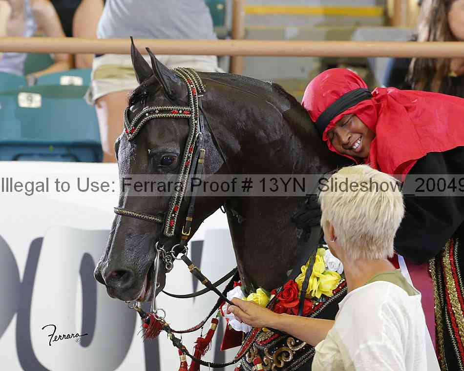 Proof 13yn_slideshow_20049