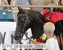 13yn_slideshow_20049 proof