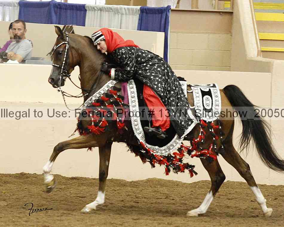 Proof 13yn_slideshow_20050
