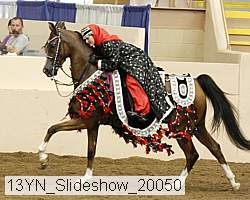 13yn_slideshow_20050 proof