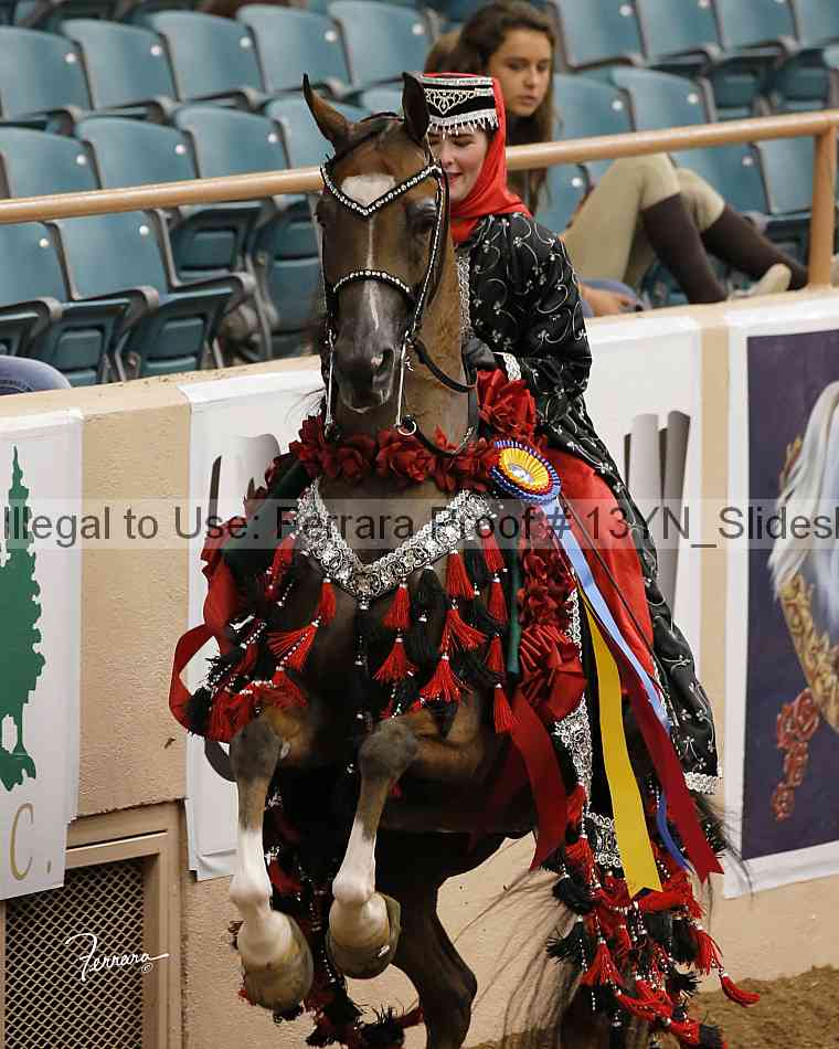 Proof 13yn_slideshow_20051