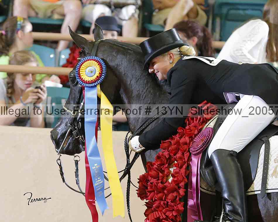 Proof 13yn_slideshow_20057