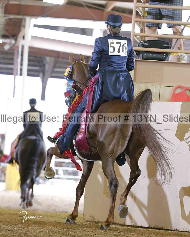 Proof 13yn_slideshow_20069
