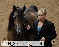 13yn_slideshow_20098 proof