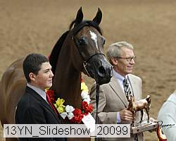 13yn_slideshow_20099 proof