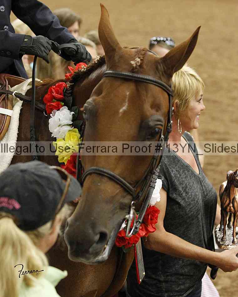 Proof 13yn_slideshow_20102