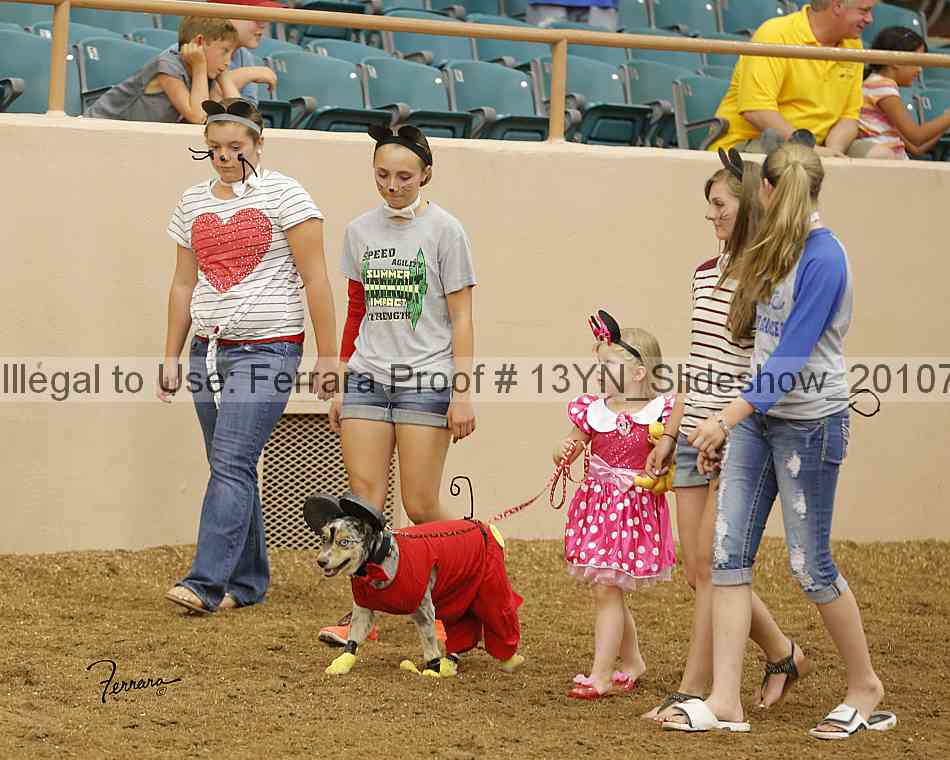 Proof 13yn_slideshow_20107
