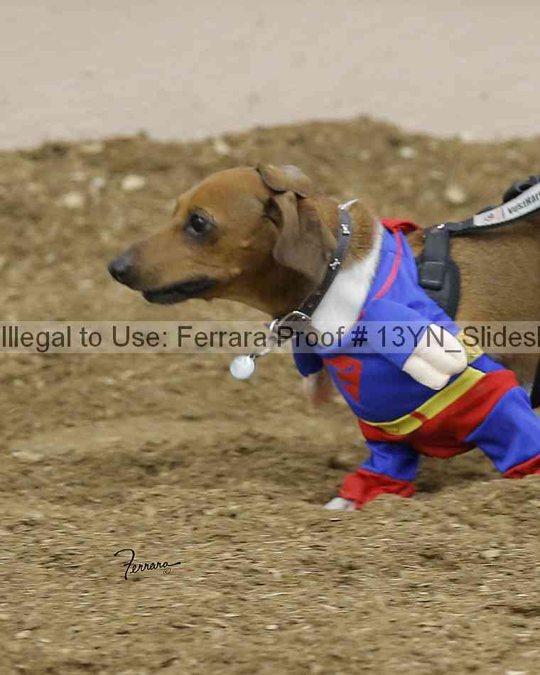 Proof 13yn_slideshow_20108
