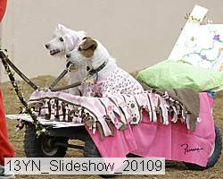 13yn_slideshow_20109 proof