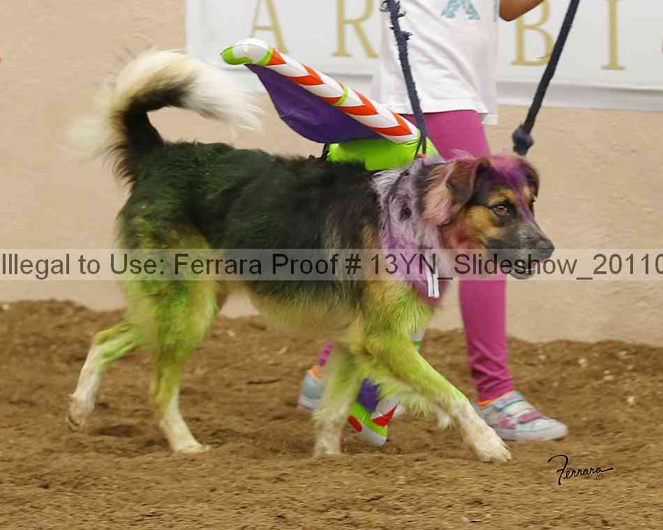 Proof 13yn_slideshow_20110