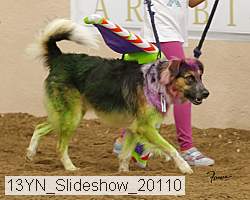13yn_slideshow_20110 proof