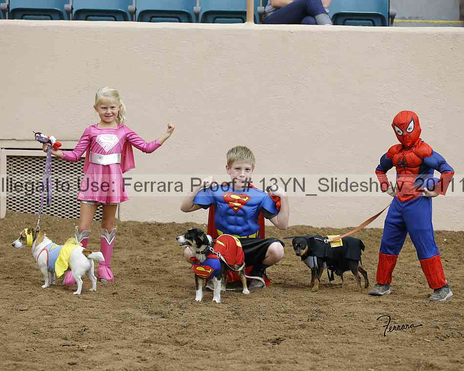 Proof 13yn_slideshow_20111