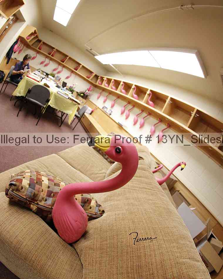 Proof 13yn_slideshow_20115