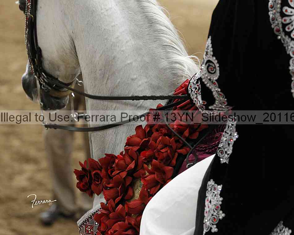 Proof 13yn_slideshow_20116