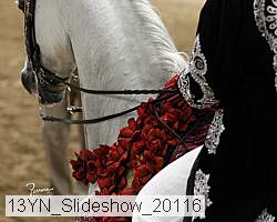 13yn_slideshow_20116 proof